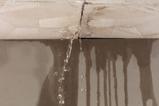 Professional Water Damage Repair technician working in Westphalia, MI
